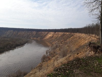 20260404_100529[2].jpg