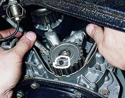 ����� ������� (1)_hf.jpg