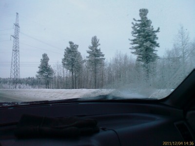 IMAGE_314.jpg