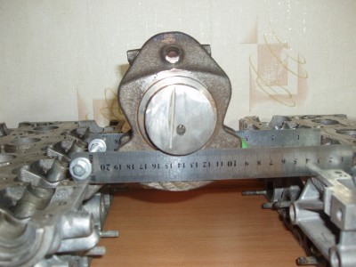 P3100049.JPG