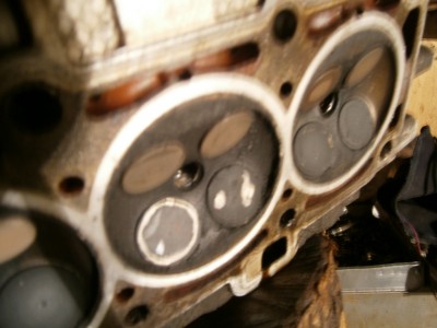 P4180074.JPG