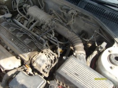 S6303209 - .JPG